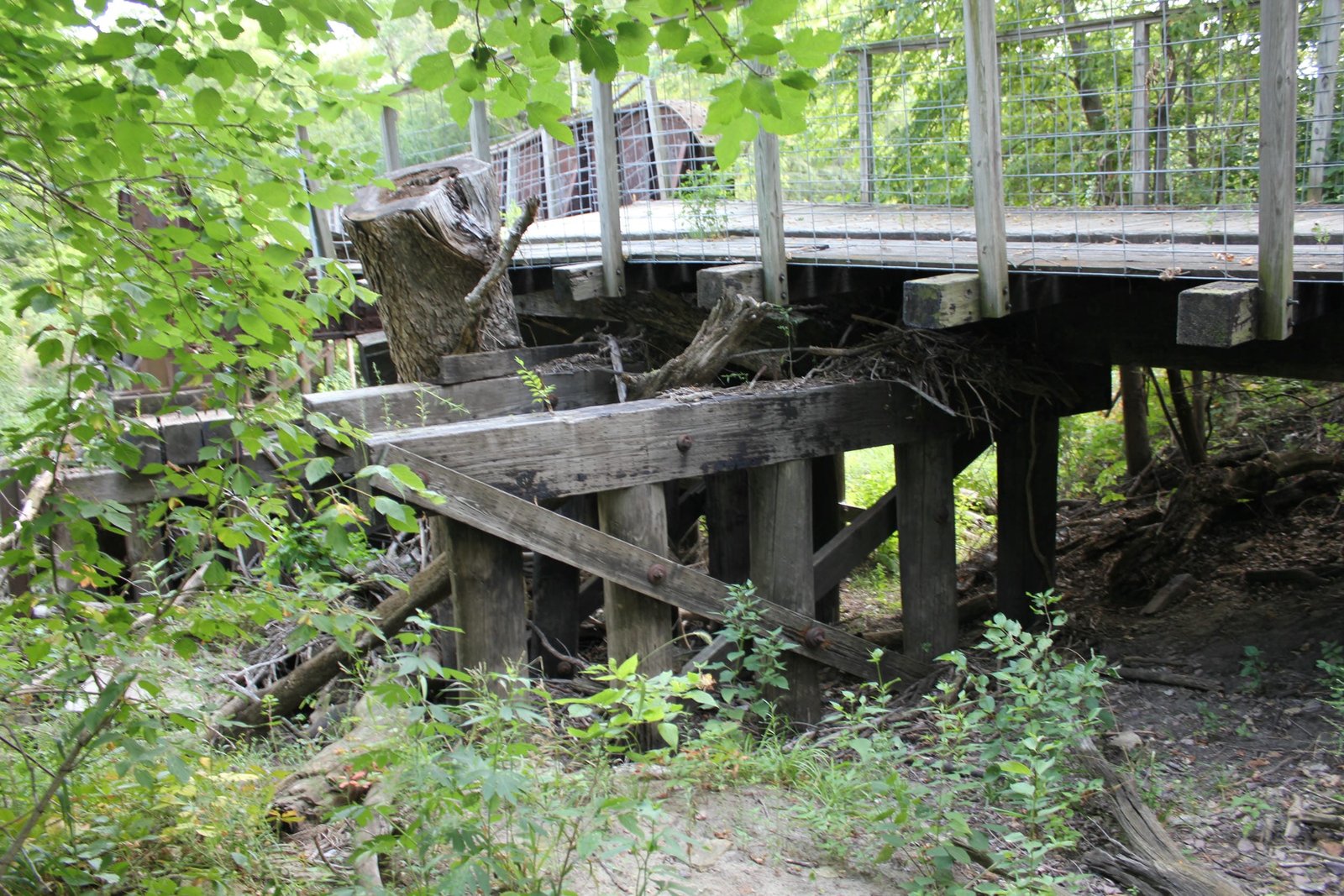 South approach